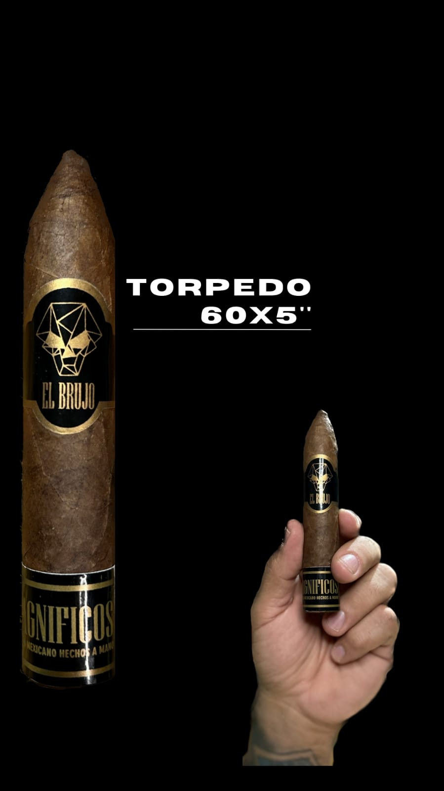 Torpedo 60x5